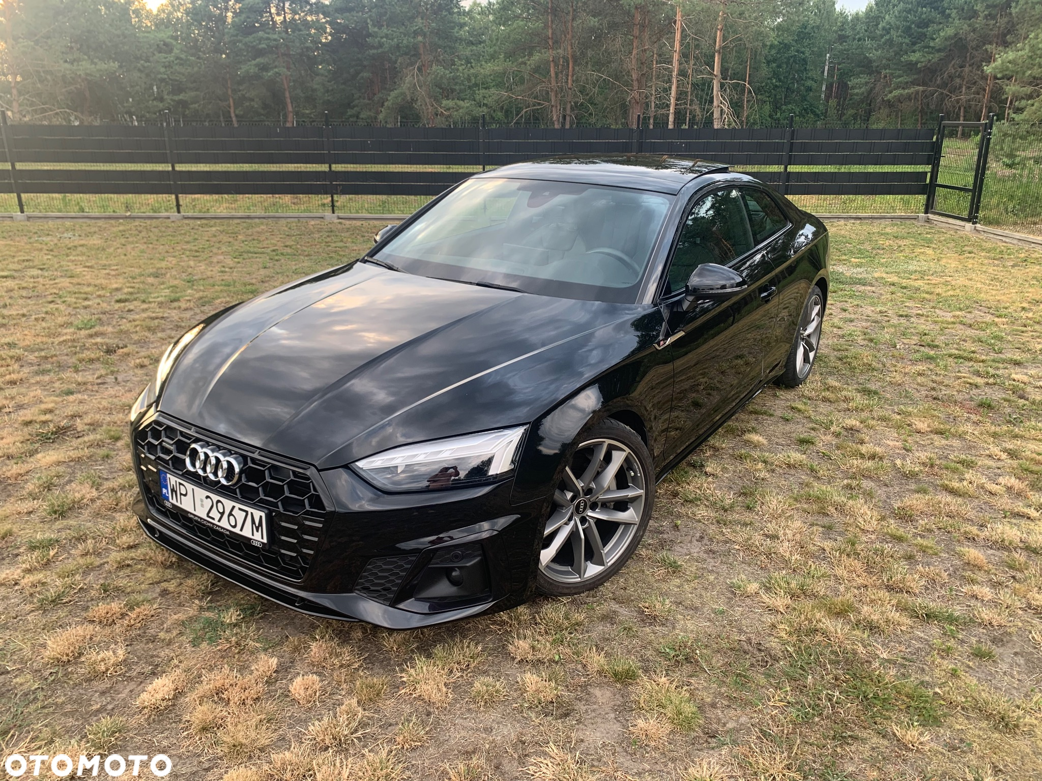 Audi A5 Coupe 45 TFSI quattro S tronic S line - 2