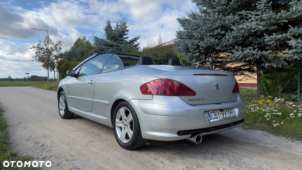 Peugeot 307 - 18