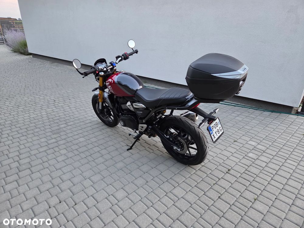 Triumph Inny - 5