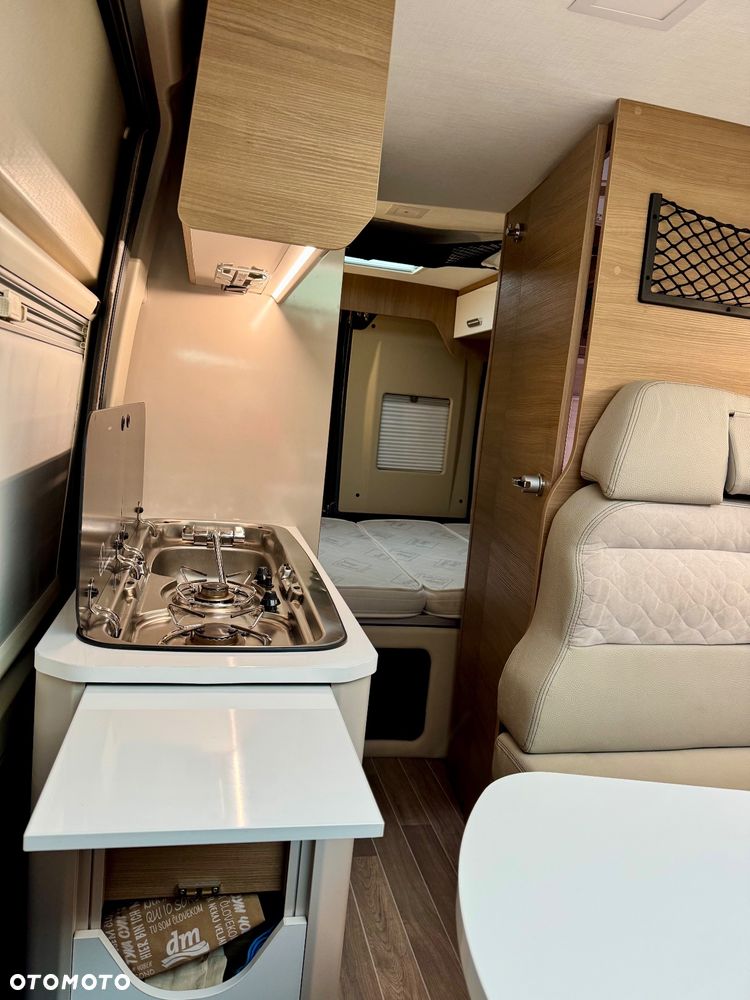 McLOUIS Prestige - 20