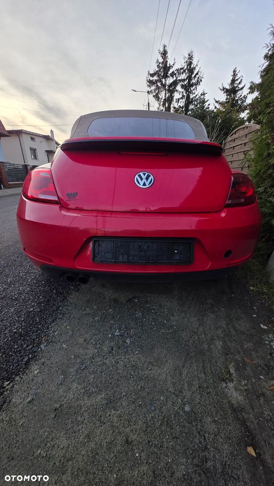 Volkswagen Beetle - 27
