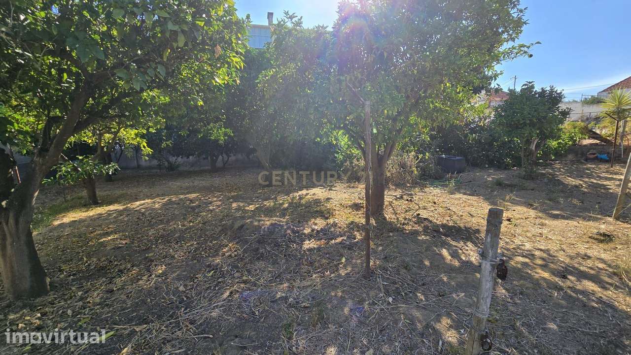 Prédio no Seixal - Grande imagem: 5/18