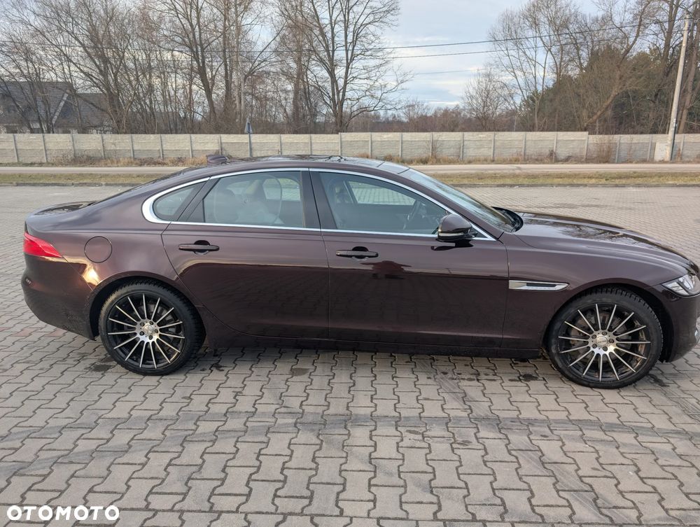 Jaguar XF 20d Prestige - 7