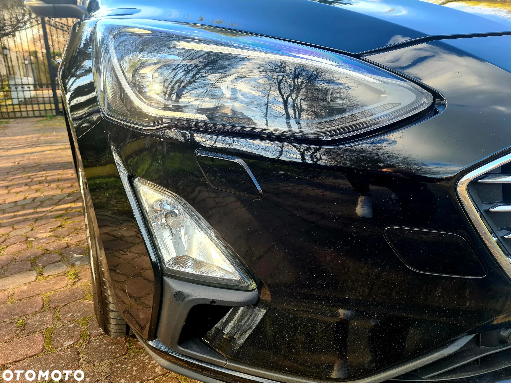 Ford Focus 2.0 EcoBlue Titanium Business - 16