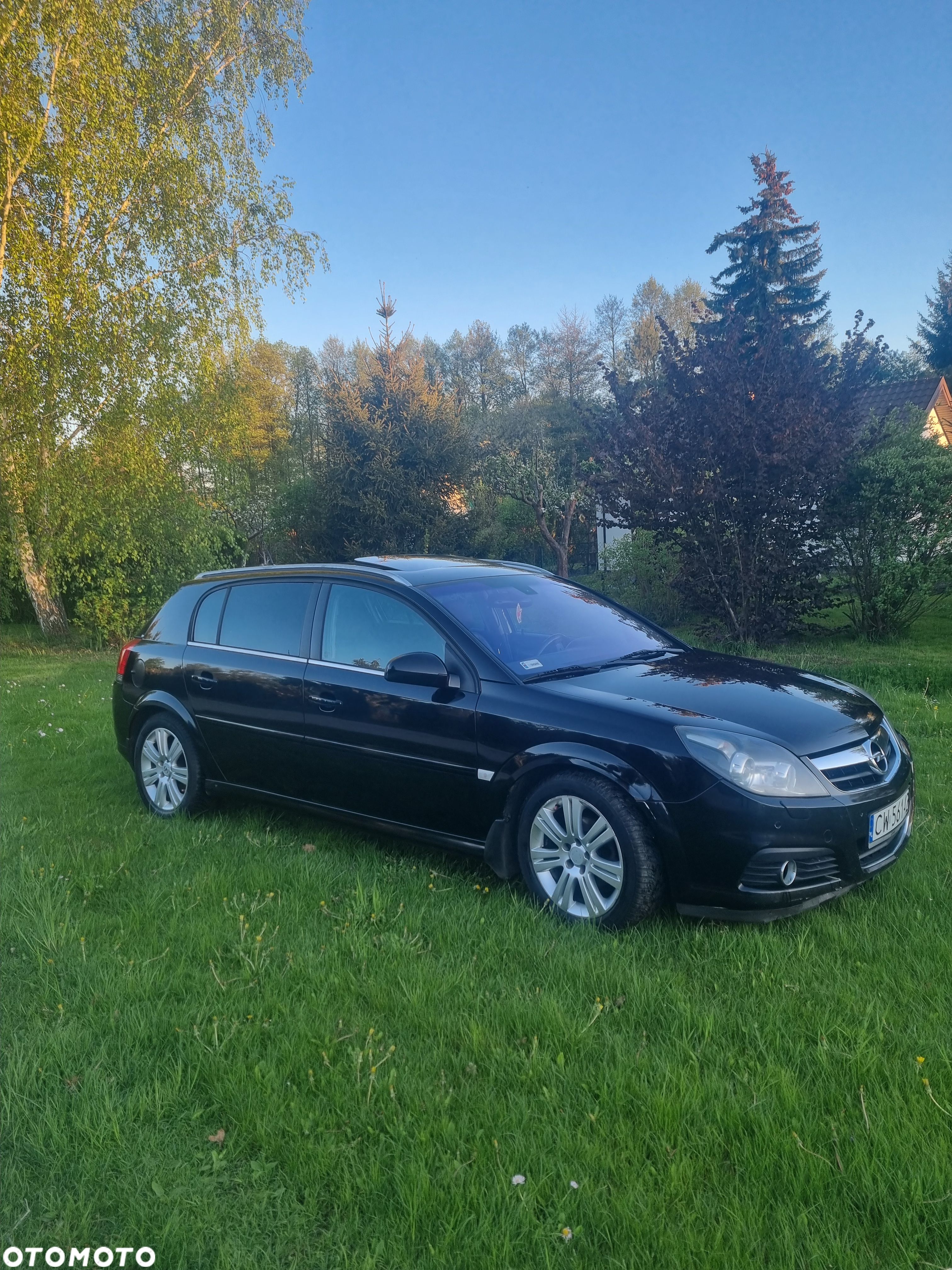Opel Signum - 1