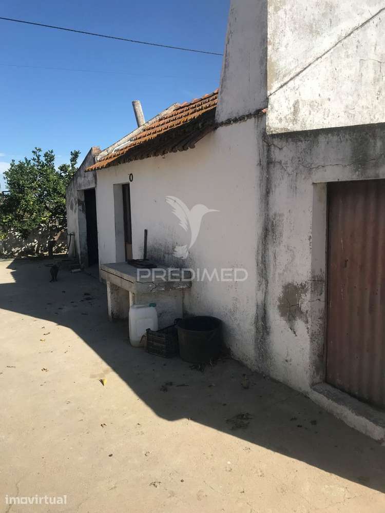 Quinta Agrícola em Produção Contínua com 8,25 Hectares e Habitação... - Grande imagem: 4/27