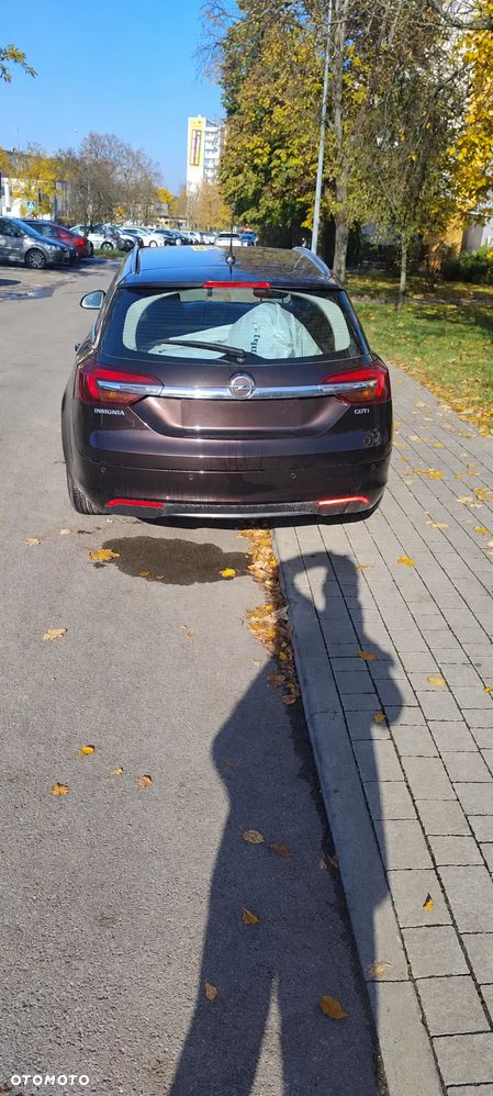 Opel Insignia 2014 photo 2