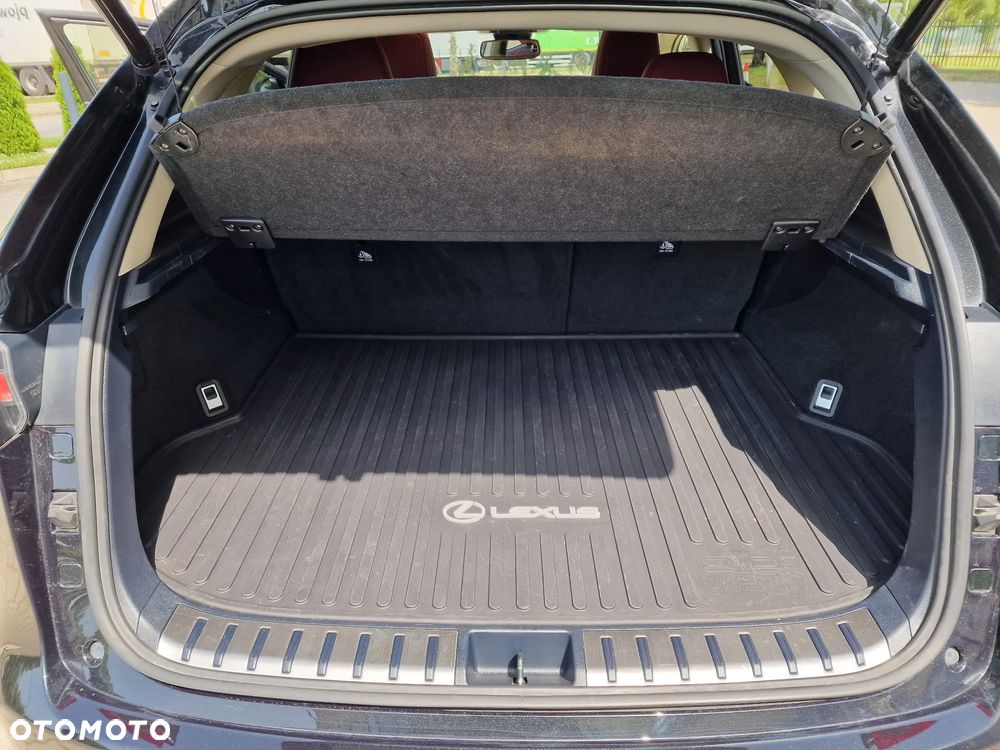 Lexus NX 300 Elegance Optimum AWD - 19