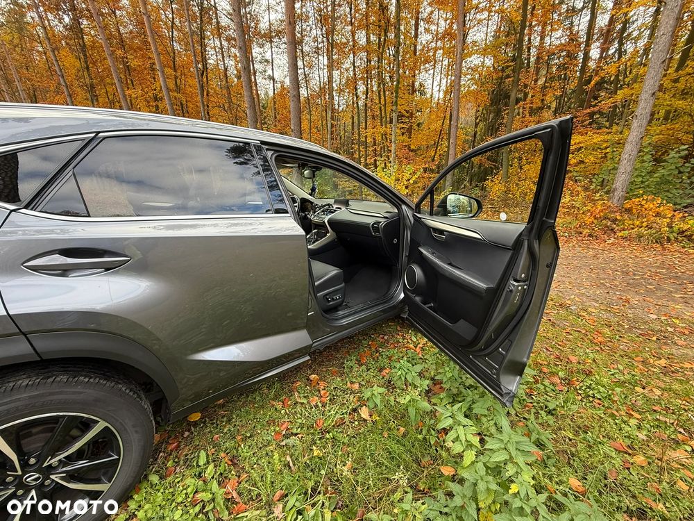 Lexus NX - 10