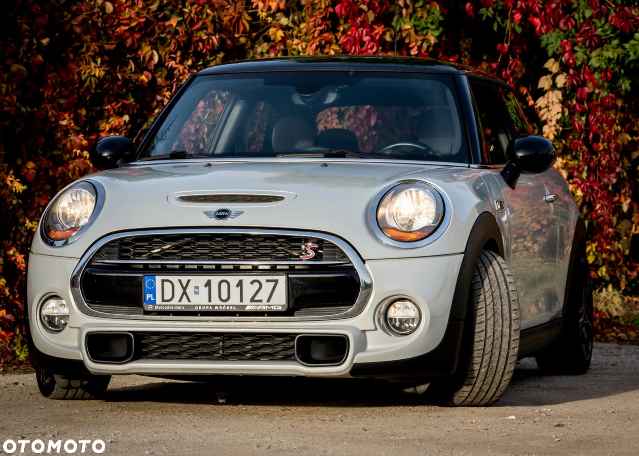 MINI Cooper S - 8