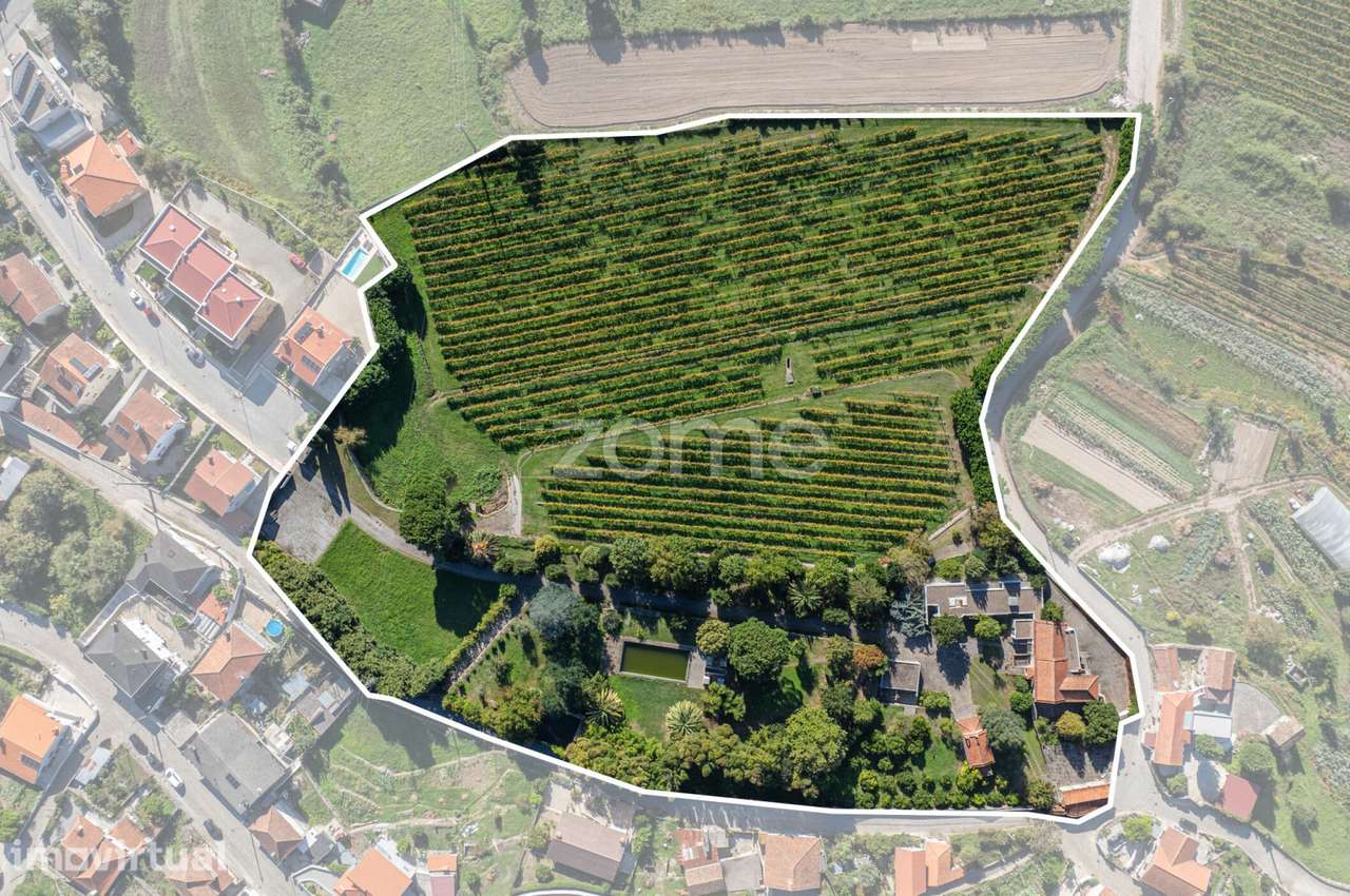 Quinta do Bacelo — Termas São Vicente - Penafiel