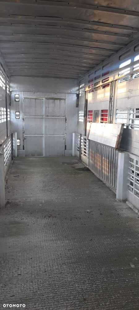 Zorzi 36s 136/19 LA - 29