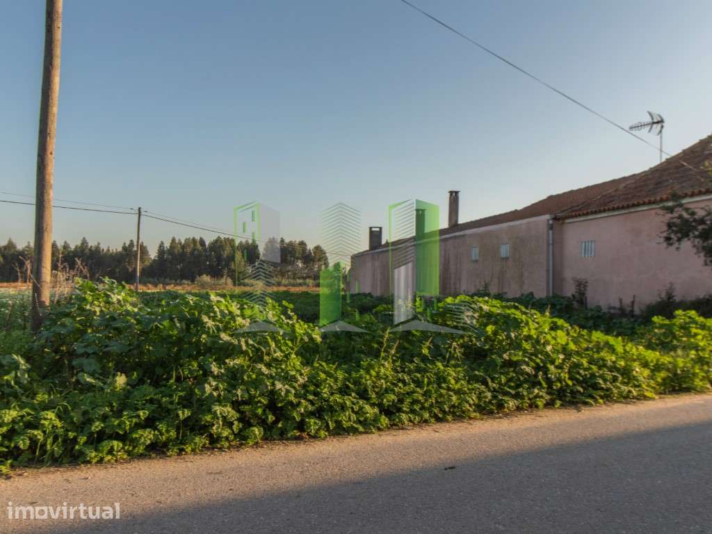 Lote de Terreno - Marvão, Cantanhede - Grande imagem: 3/13