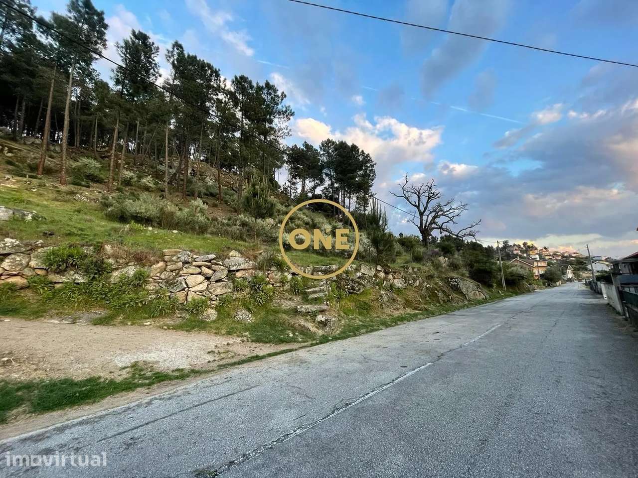 Terreno rústico com 24.900 m², situado em Longo / Tabuaço para venda - Grande imagem: 3/6