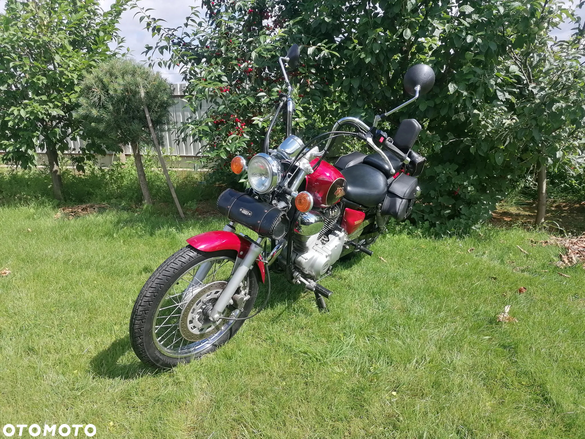 Yamaha Virago - 3