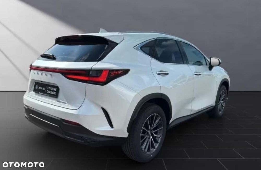 Lexus NX - 6