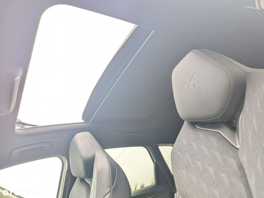 Cupra Terramar - 26