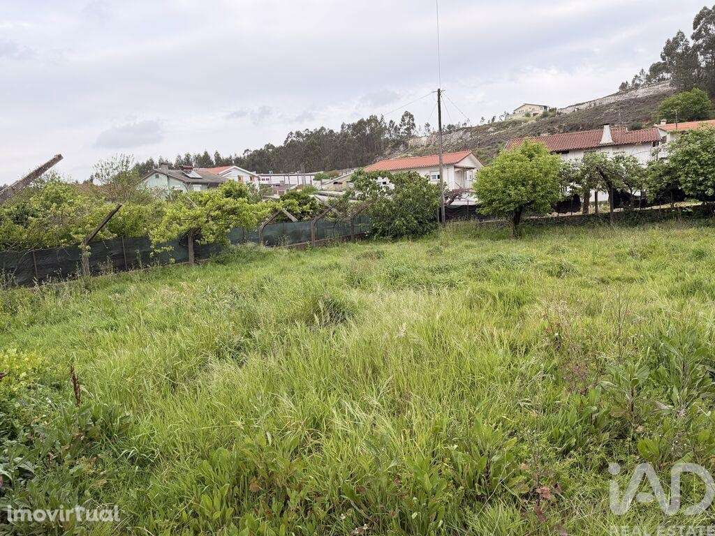 Terreno em São Roque - Grande imagem: 5/6