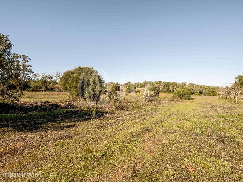 Terreno com ruína, em Alcantarilha, Pêra, Silves, Algarve - Grande imagem: 2/35