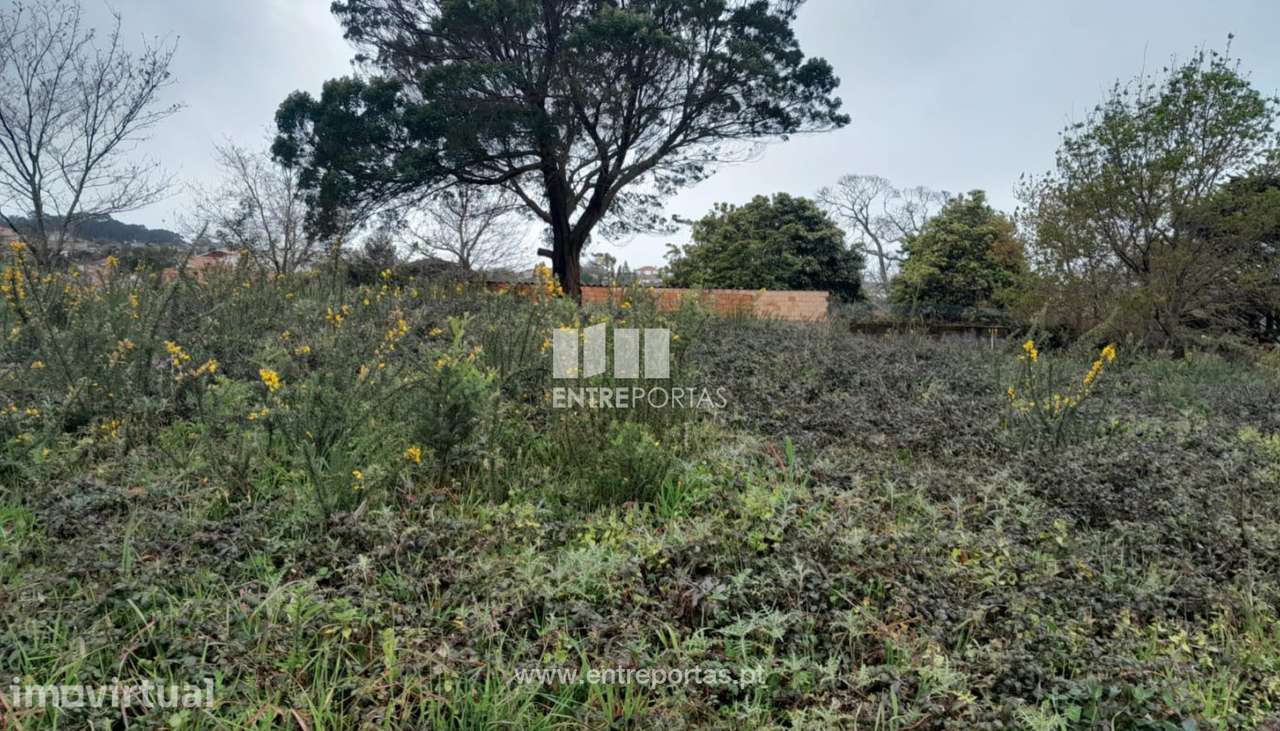 Venda de Lote para construção, Afife, Viana do Castelo - Grande imagem: 2/23