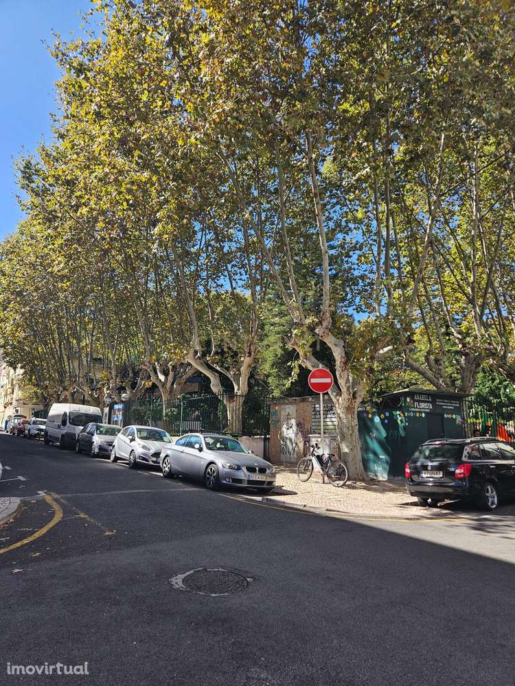 Loja Moderna em Moscavide, Loures - Grande imagem: 3/7