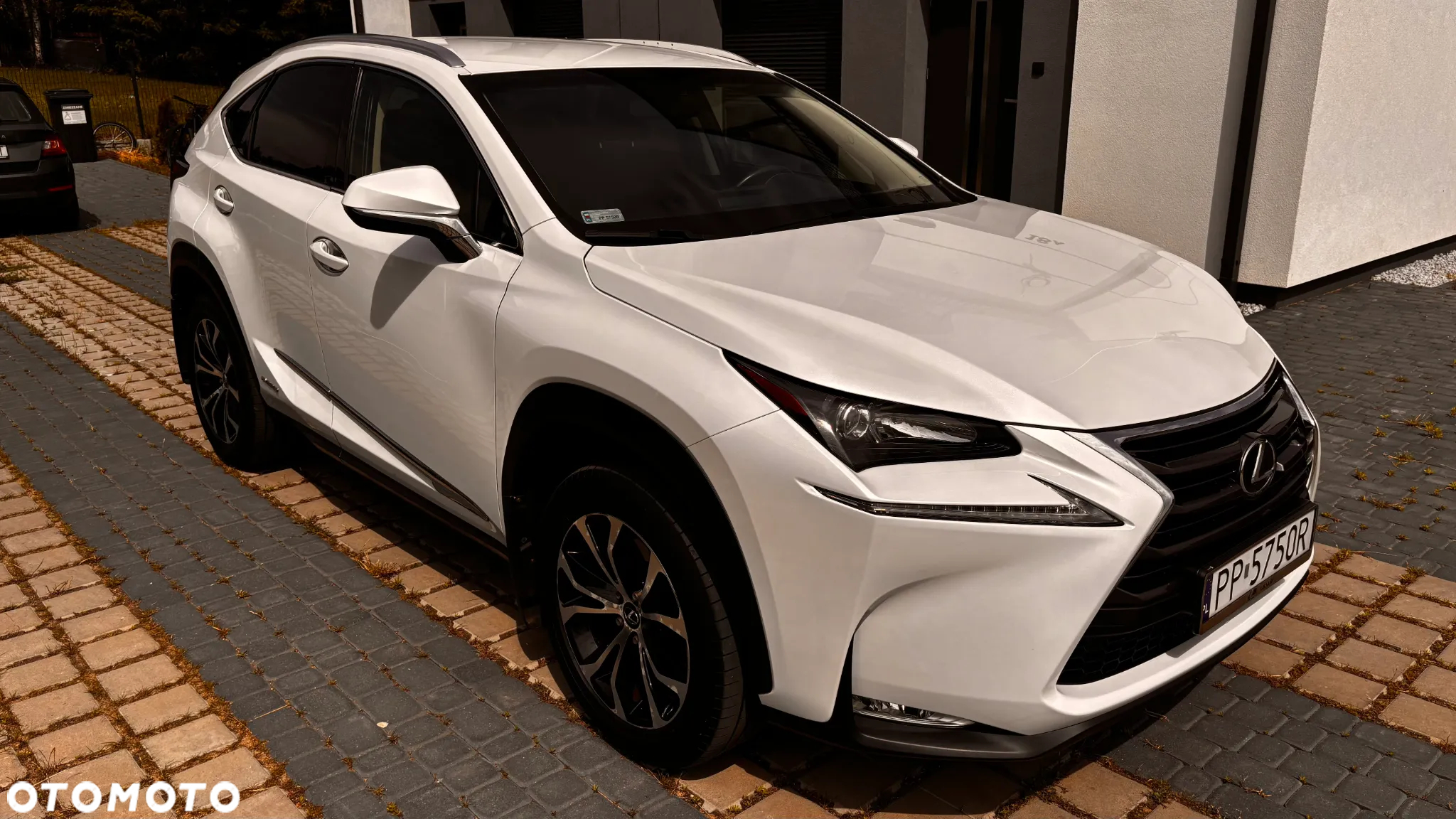 Lexus NX 300h Elite AWD - 2