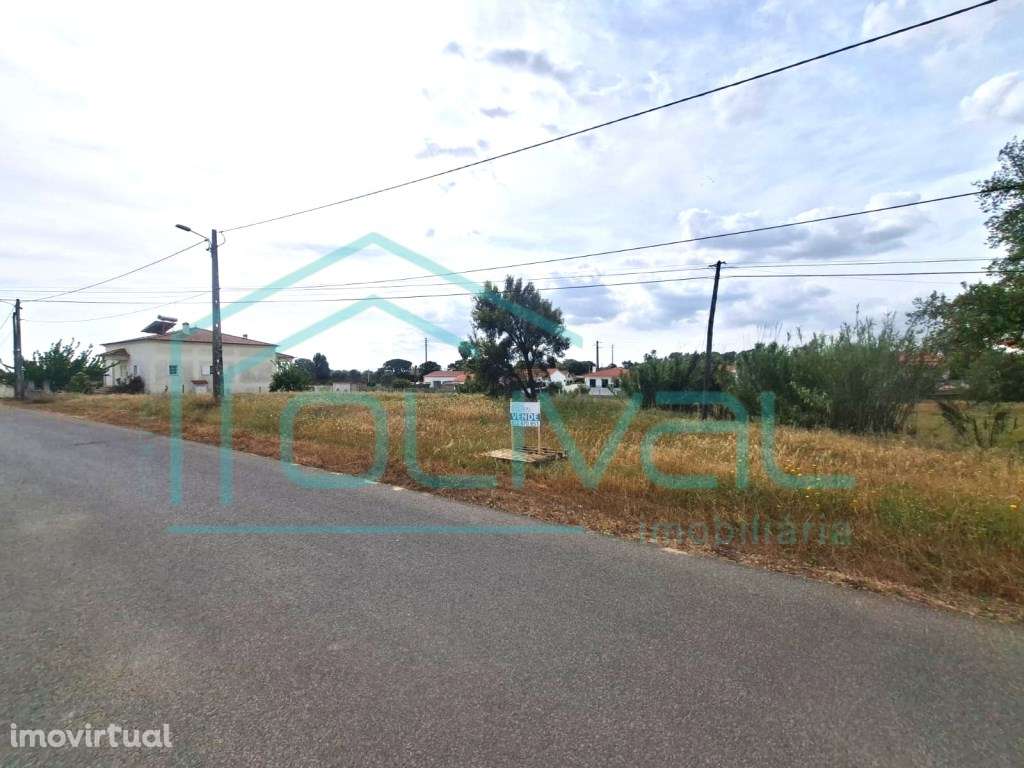 Lote de Terreno - Foros de Salvaterra - Grande imagem: 2/3