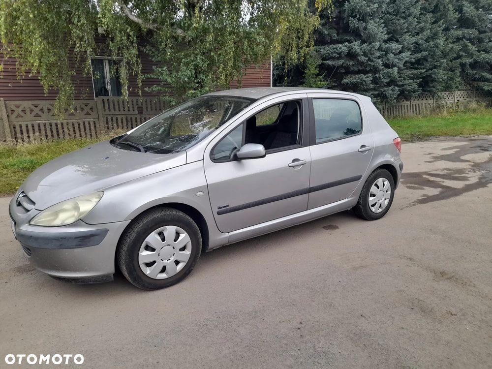 Peugeot 307 - 5