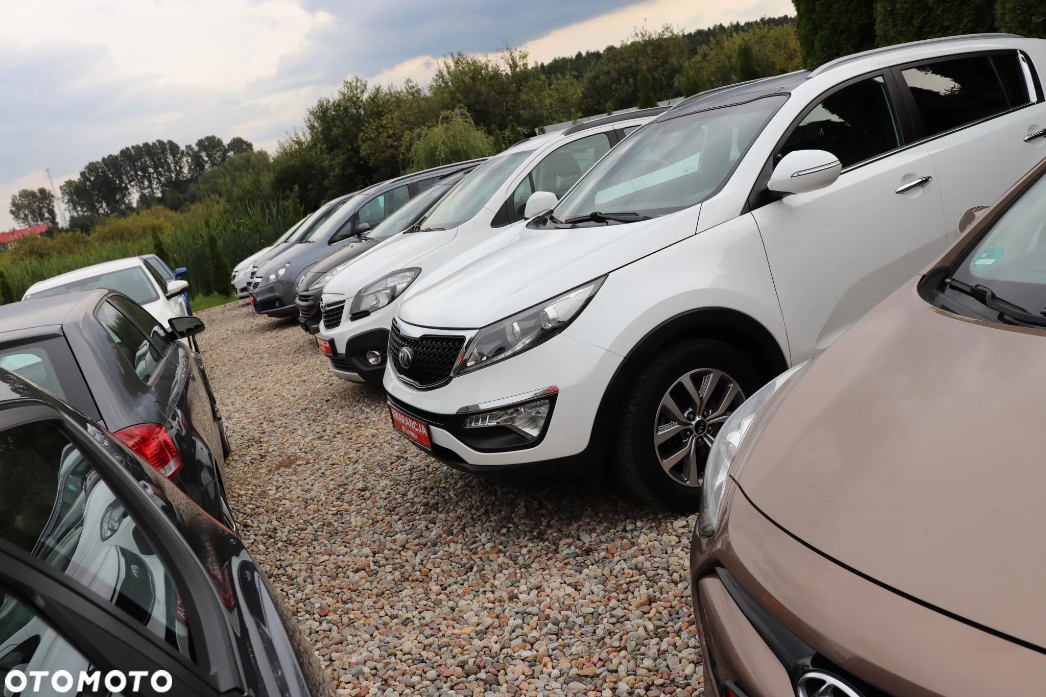 Ford Kuga - 1