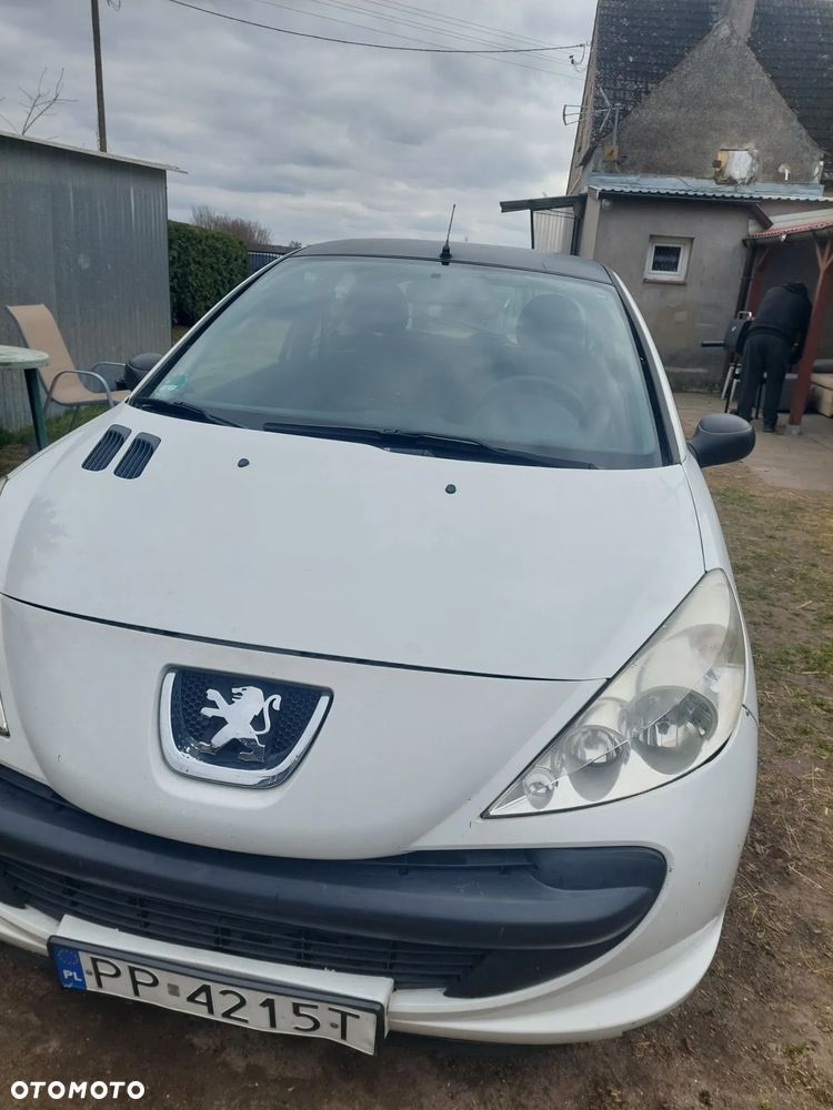 Peugeot 206 plus - 1