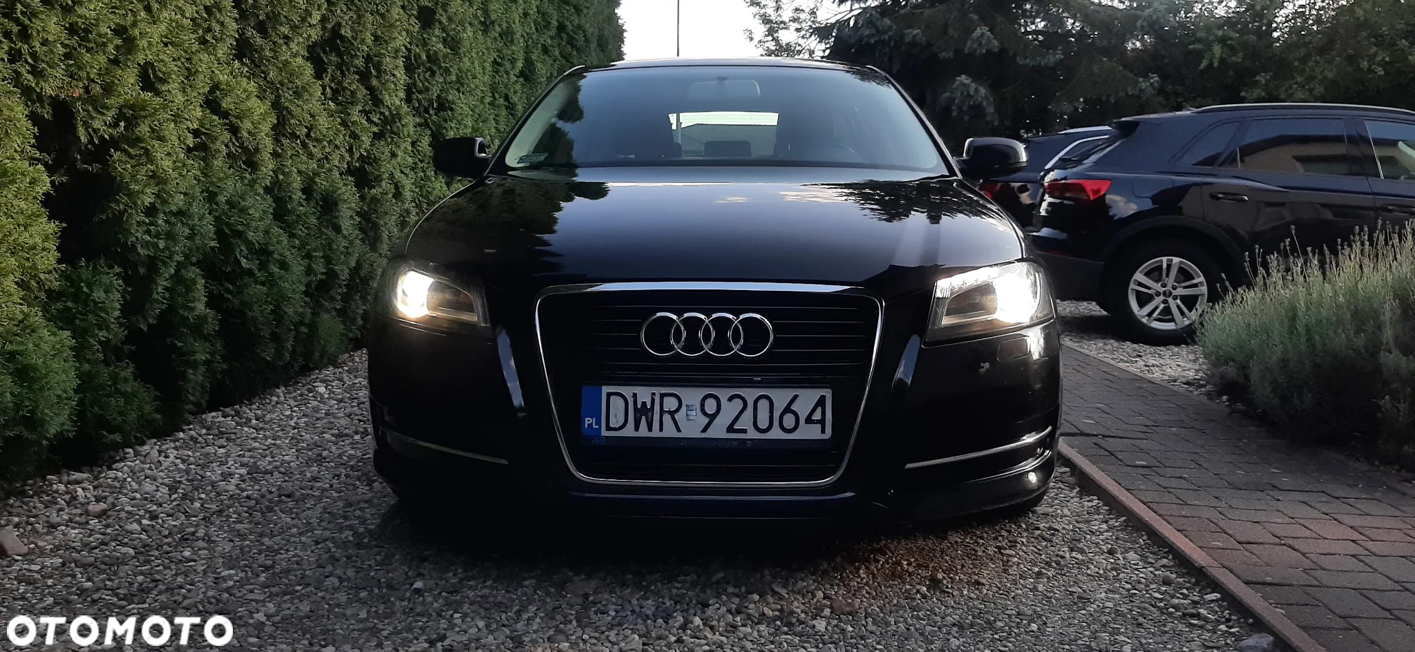 Audi A3 1.6 TDI DPF Ambiente S tronic - 28