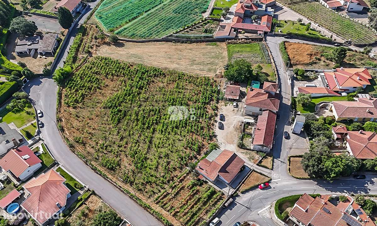 Quinta 13.000m² - Antas - Grande imagem: 3/11