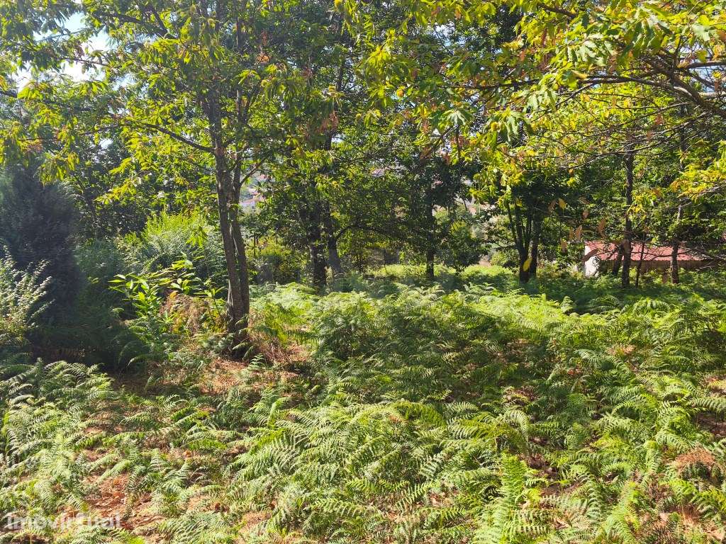 Prédio rústico em zona de construção - Grande imagem: 4/8