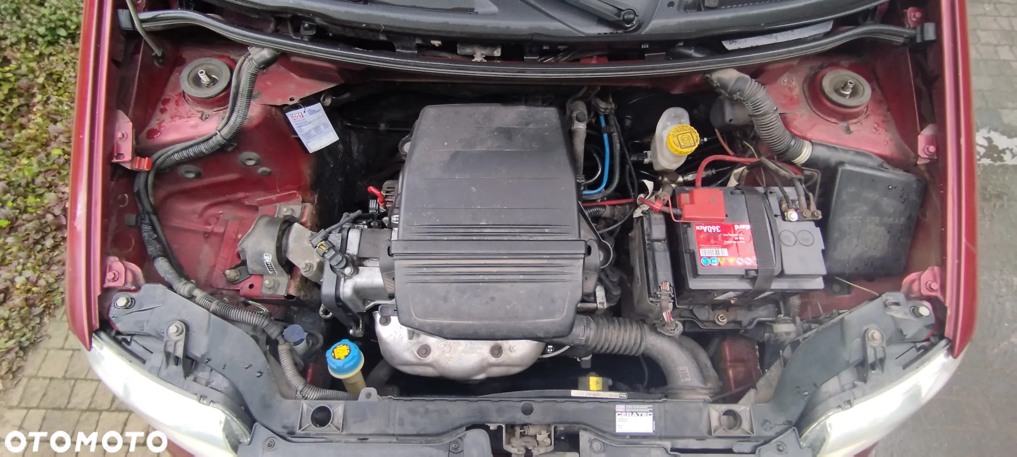Fiat Panda - 10
