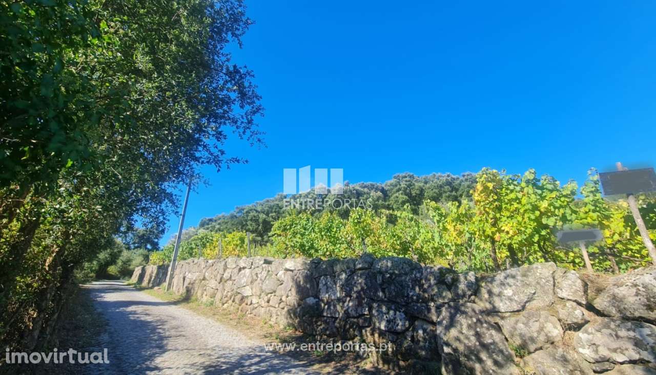 Venda de Terreno, Stª Marinha do Zêzere Baião - Grande imagem: 2/5