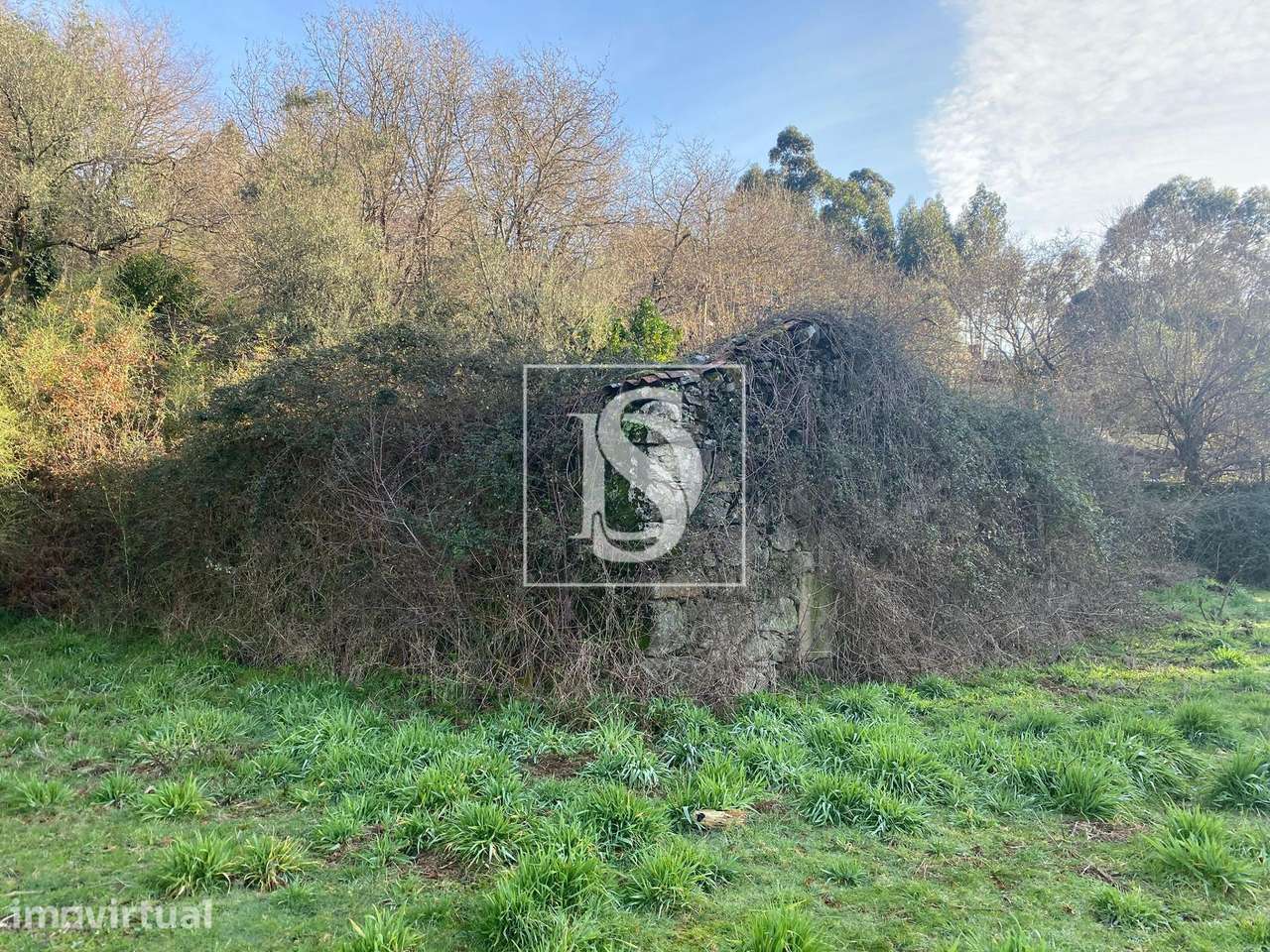 TERRENO com PROJETO APROVADO para ALDEAMENTO TURÍSTICO - Grande imagem: 3/11