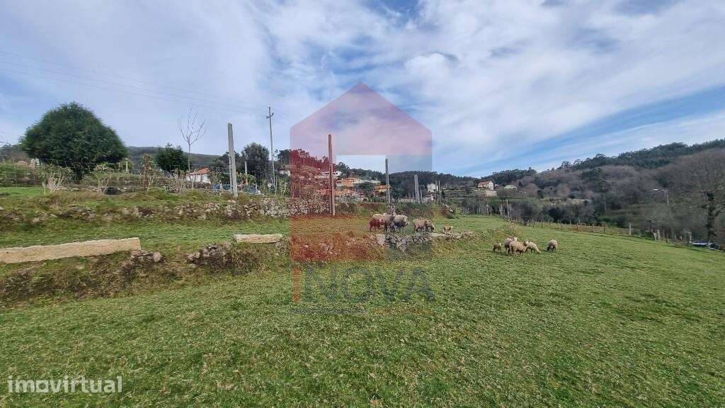 Terreno com projeto aprovado, Godinhaços - Grande imagem: 3/30