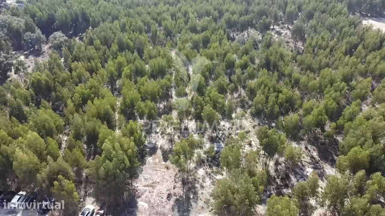 Lote de Terreno em Palmela - Grande imagem: 2/29