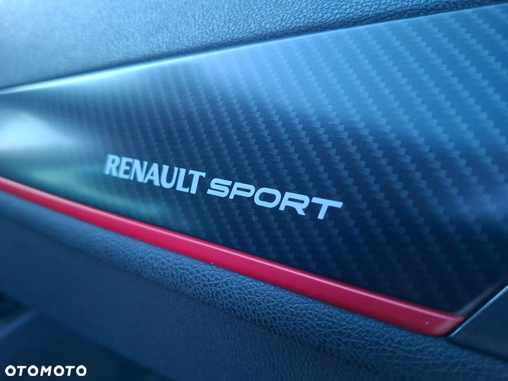 Renault Megane GT 220 EU6 - 23