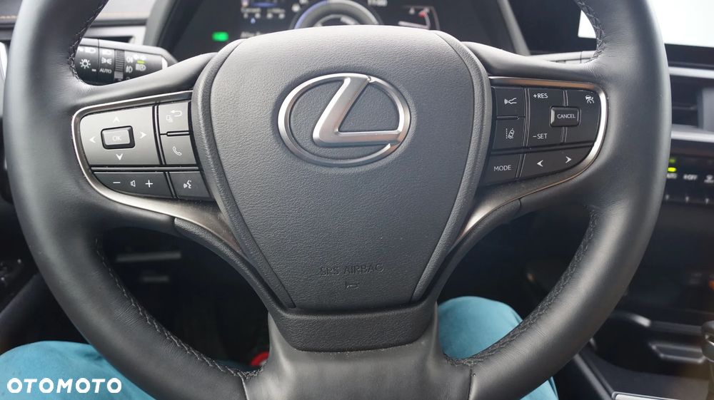 Lexus UX 250h GPF F Sport Design+ 2WD - 14