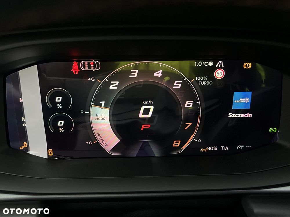 Cupra Terramar - 19