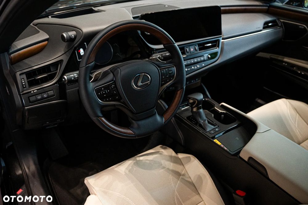 Lexus ES 300h Omotenashi - 10