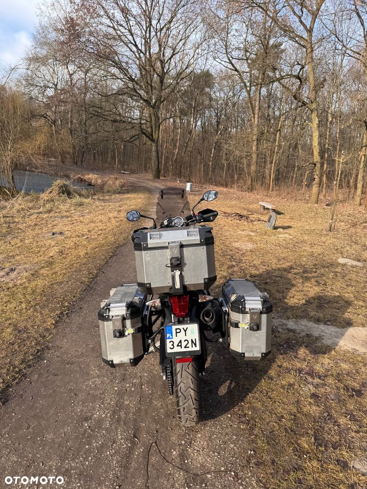 Triumph Tiger - 15