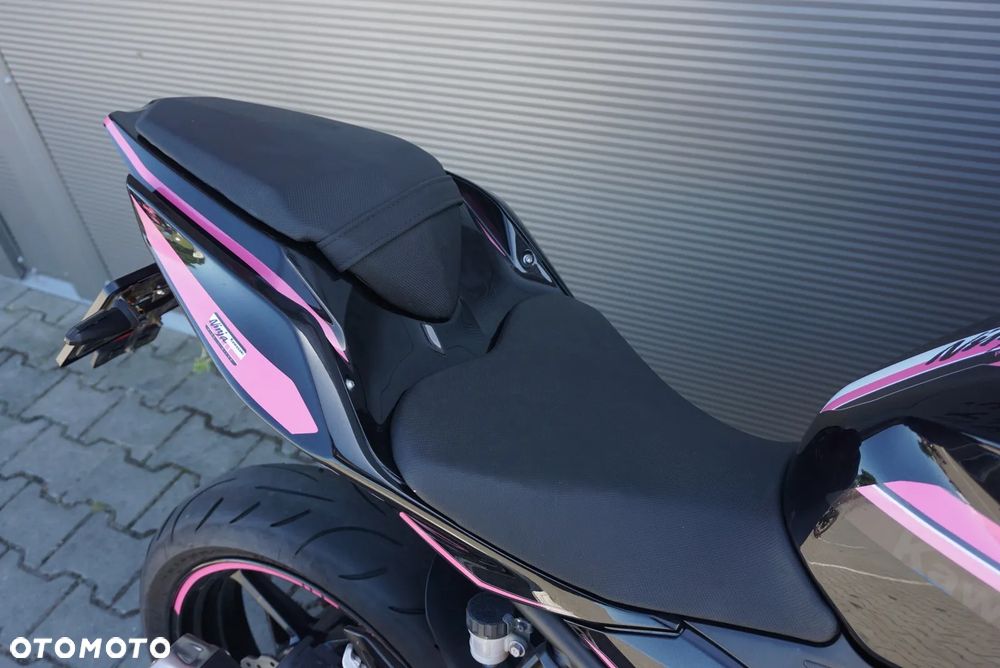 Kawasaki Ninja - 13