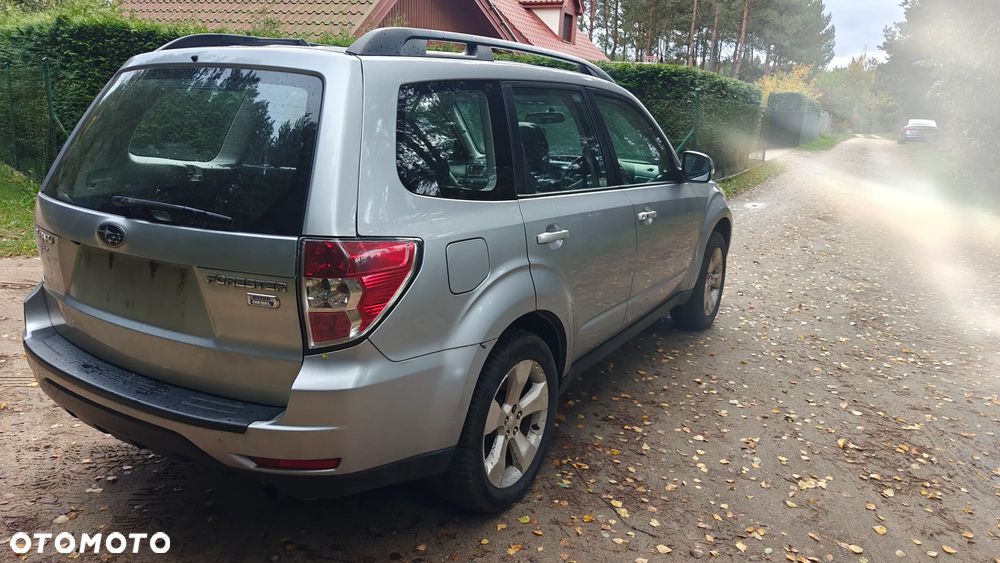 Subaru Forester - 10