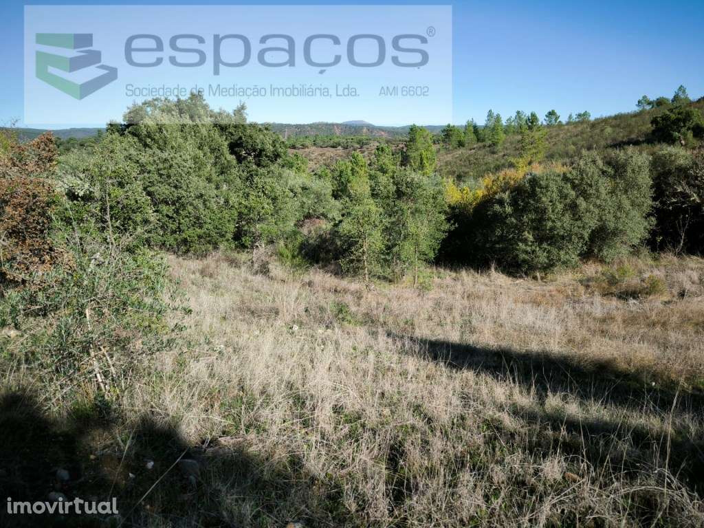 Terrenos com poços - Lentiscais - Grande imagem: 2/19