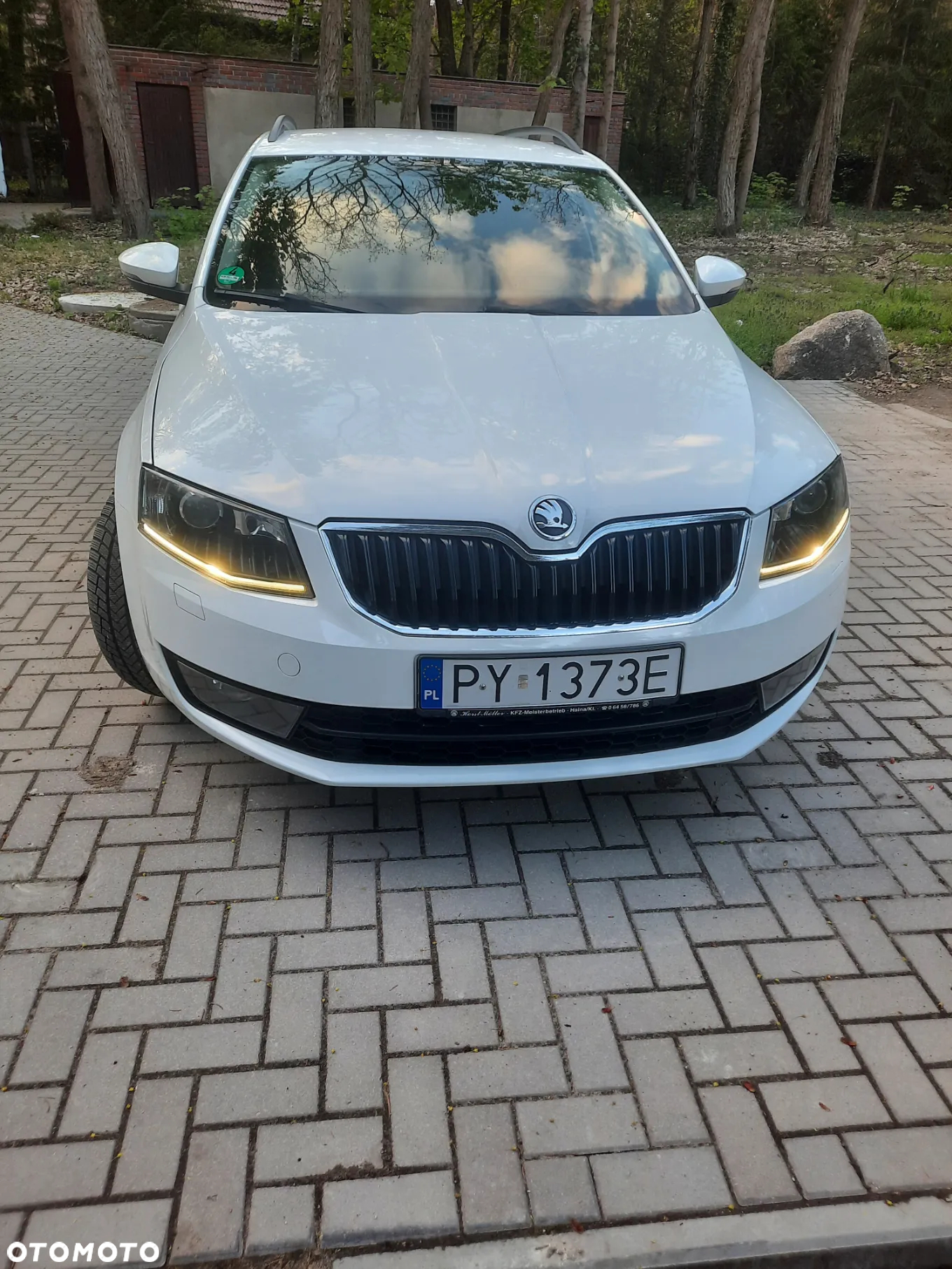 Skoda Octavia 1.6 TDI Ambition - 16