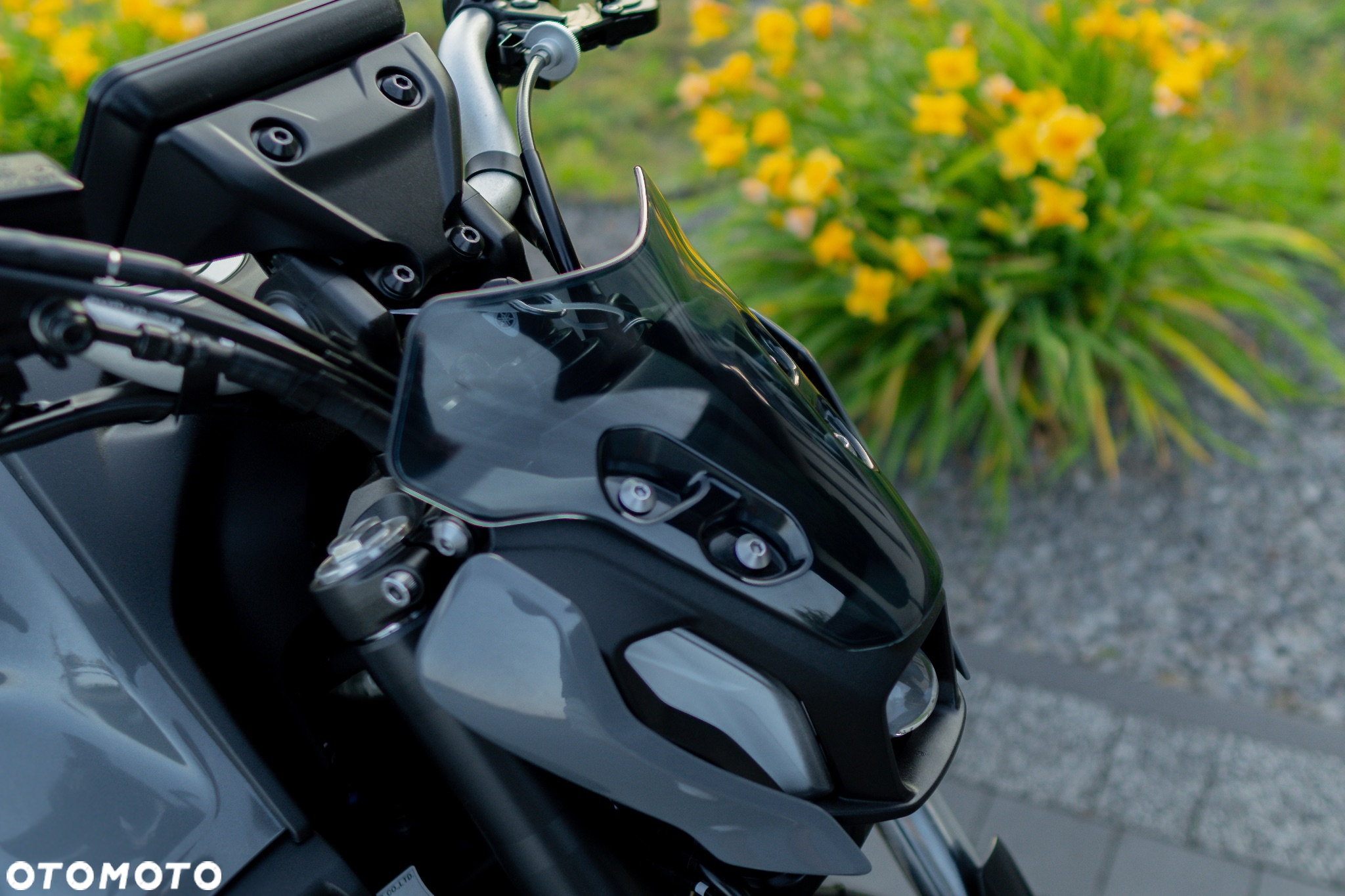 Yamaha MT - 14