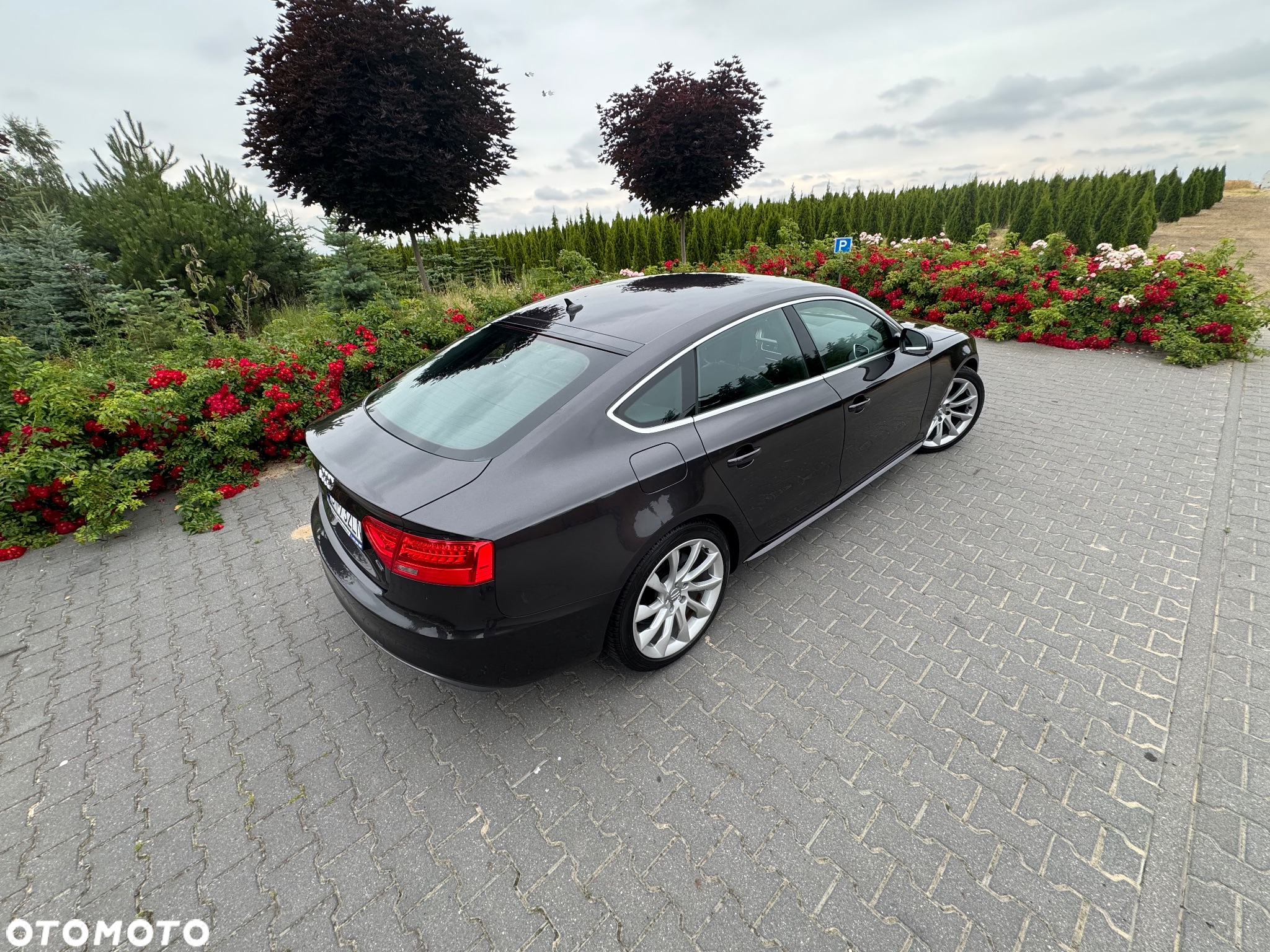 Audi A5 2.0 TDI Sportback quattro DPF S tronic - 6