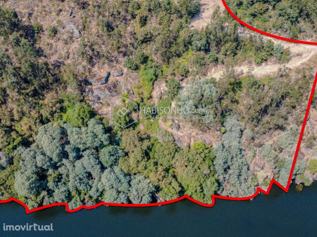 Quintinha das Fontainhas | Rio Tâmega | Penafiel - Grande imagem: 4/6